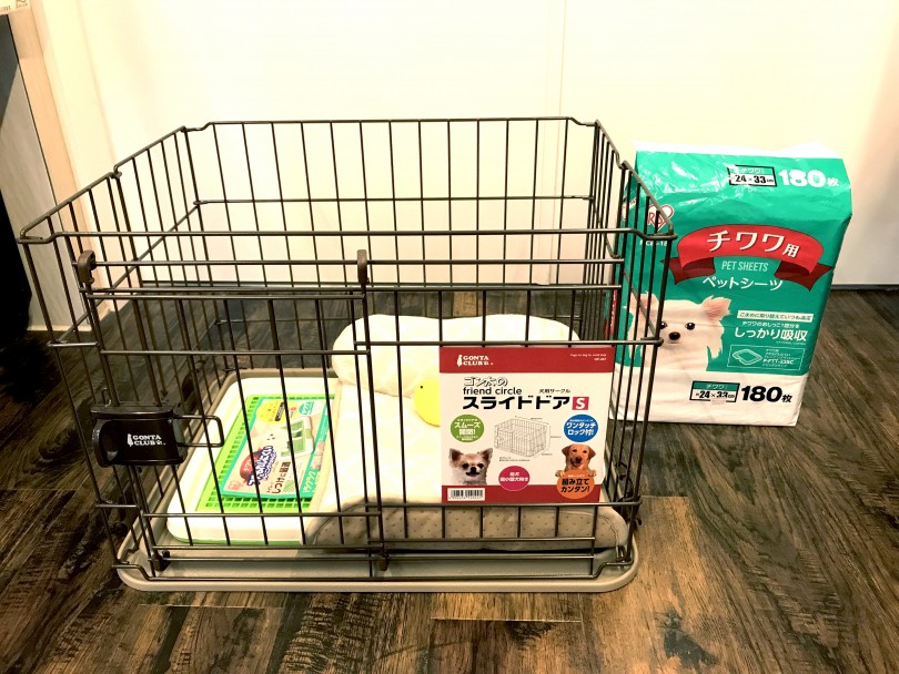 小さいチワワ専用サークル | 極小チワワ （140159） - 横浜 元町店