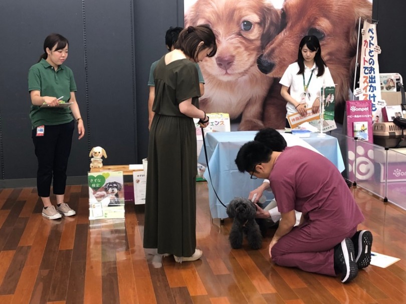 体脂肪は見た目とは違う | 港北ニュータウン店 イベント