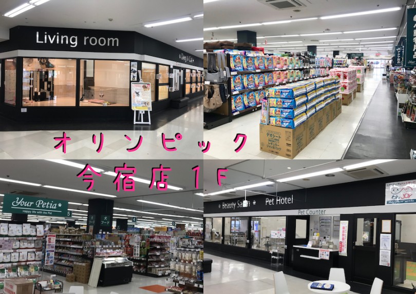 1階フロアー全てがペットフリースペース | 店舗紹介 - 今宿店