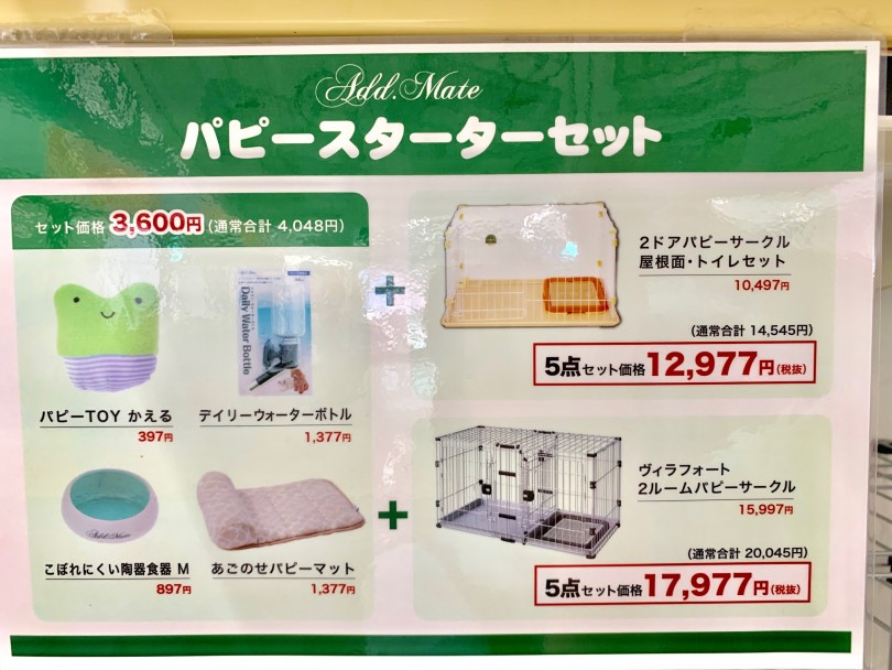 ワンちゃん初心者の方へ お得なパピーセット | ミニチュア・ダックスフント (014265) - 東日暮里店