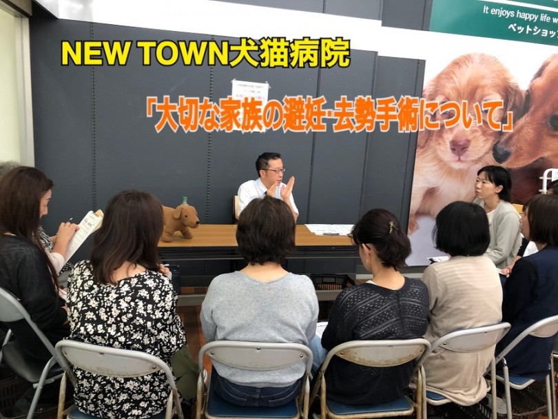 【 イベント 】NEW TOWN犬猫病院「大切な家族の避妊・去勢手術」について