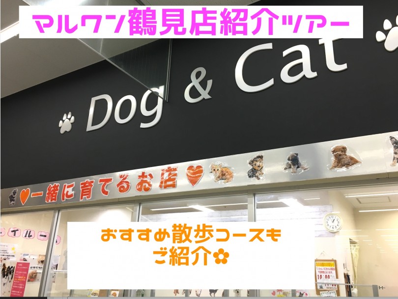 【 マルワン鶴見店紹介ツアー 】おすすめの散歩コースもご紹介!!