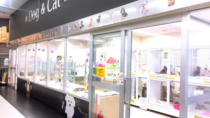 「一緒に育てる」をコンセプトに掲げサポート体制を整えています | マルワン鶴見店紹介ツアー