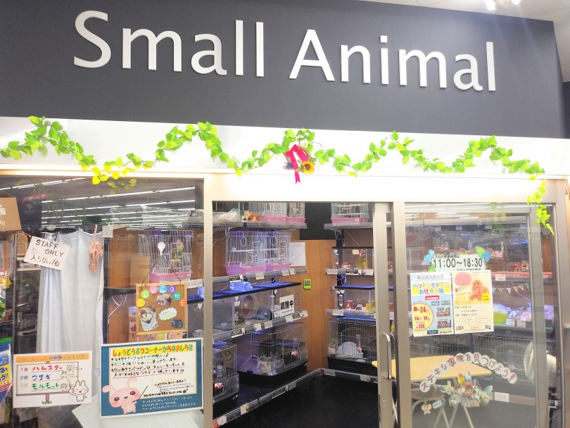 小動物コーナー | 店舗紹介 - 志村坂下店