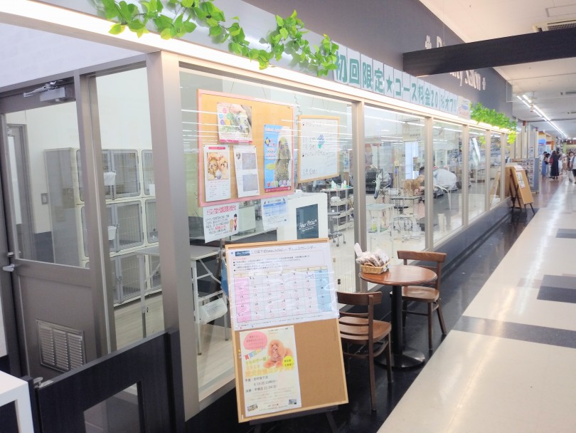 マルワンのブース横にはトリミングサロン、ペットホテル、犬のようちえんがあります | 店舗紹介 - 志村坂下店