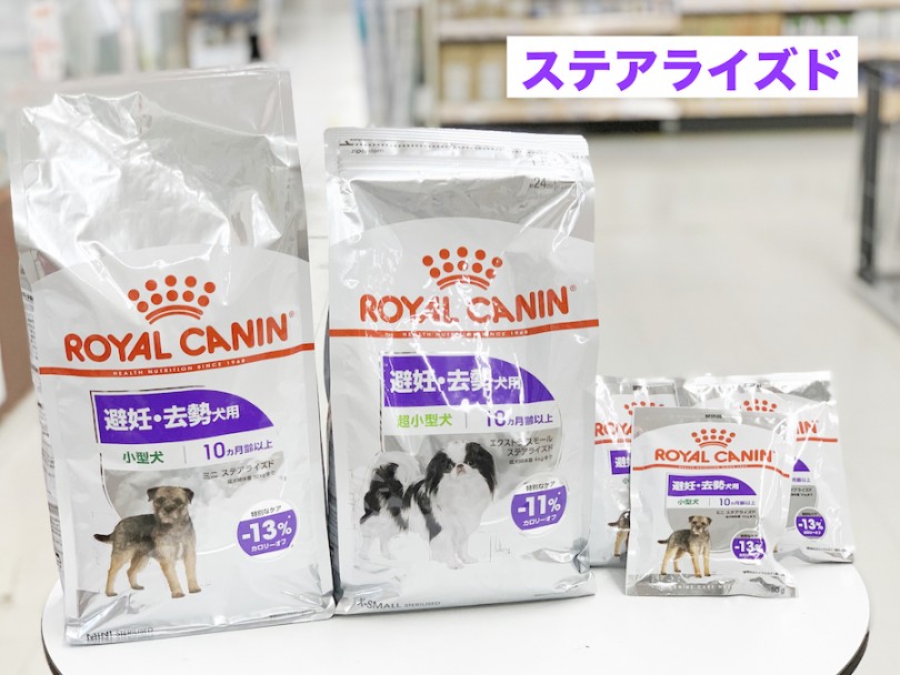 ミニステアライズド | 愛犬の新商品フード試食会＆食の相談会 - 相模大塚店