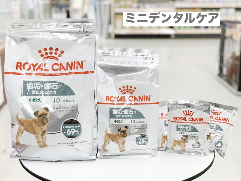 ミニデンタルケア | 愛犬の新商品フード試食会＆食の相談会 - 相模大塚店