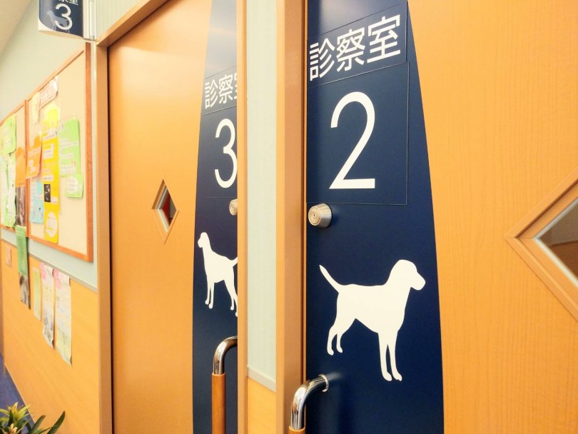 診察室ワンちゃん専用 | 志村坂下動物総合医療センターの魅力 - 志村坂下店