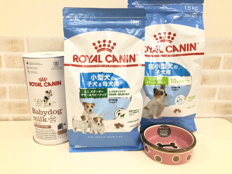 ロイヤルカナン社のミニスターターに粉ミルクのトッピングを1日2回食べています | MIX （713643） - 鶴見店