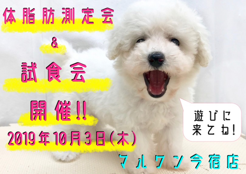 【 今宿店 イベント情報 】ワンちゃんの体脂肪計測会＆試食会のご案内！