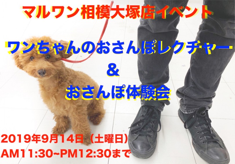 【 相模大塚店イベント 】9/14(土)わんこのおさんぽレクチャー＆おさんぽ体験