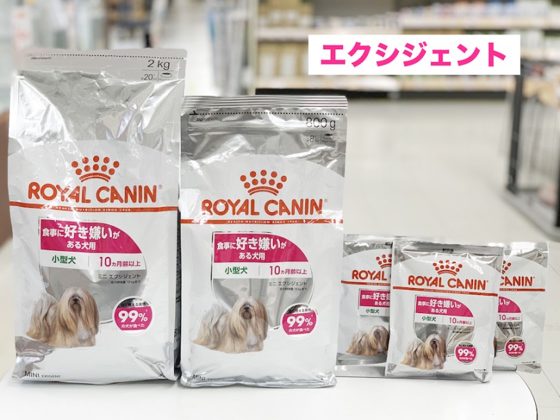 ミニエクシジェント | 愛犬の新商品フード試食会＆食の相談会 - 相模大塚店