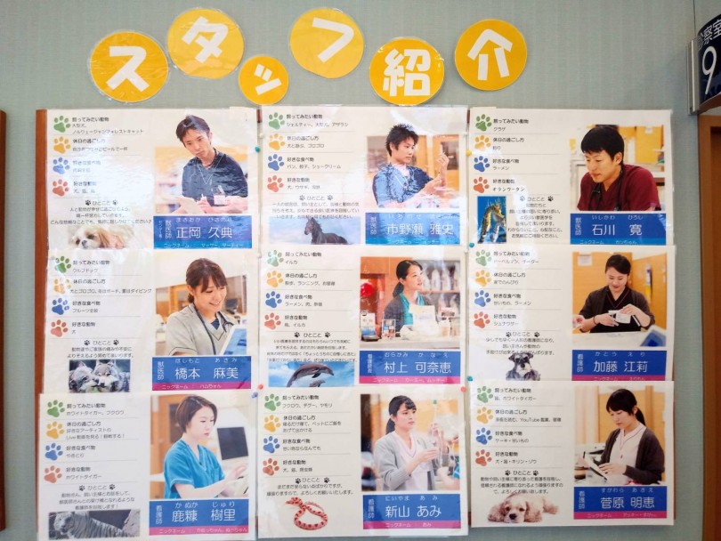マルワン志村坂下店の子犬＆子猫もお世話になっております | 志村坂下動物総合医療センターの魅力 - 志村坂下店