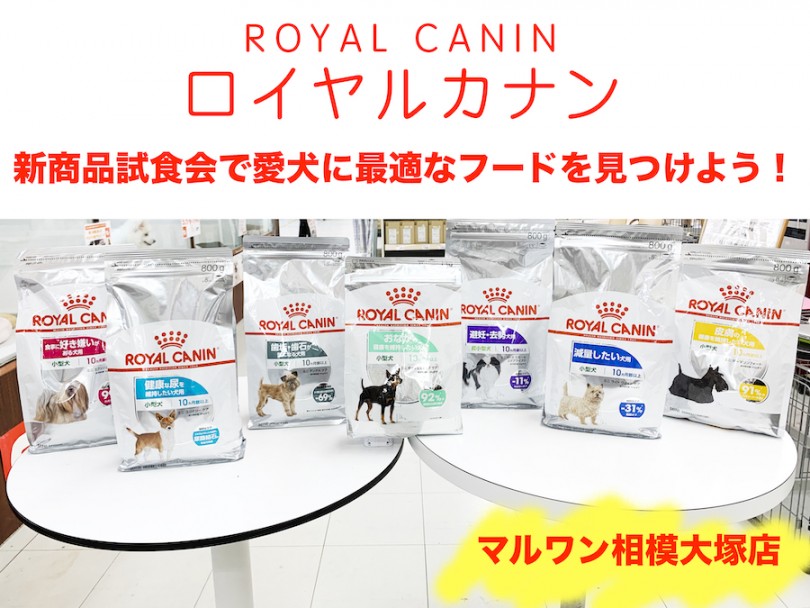 【 相模大塚店イベント 】9/7（土）愛犬の新商品フード試食会＆食の相談会！