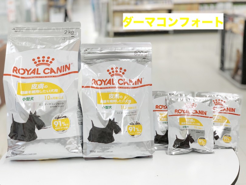 ミニダーマコンフォート | 愛犬の新商品フード試食会＆食の相談会 - 相模大塚店