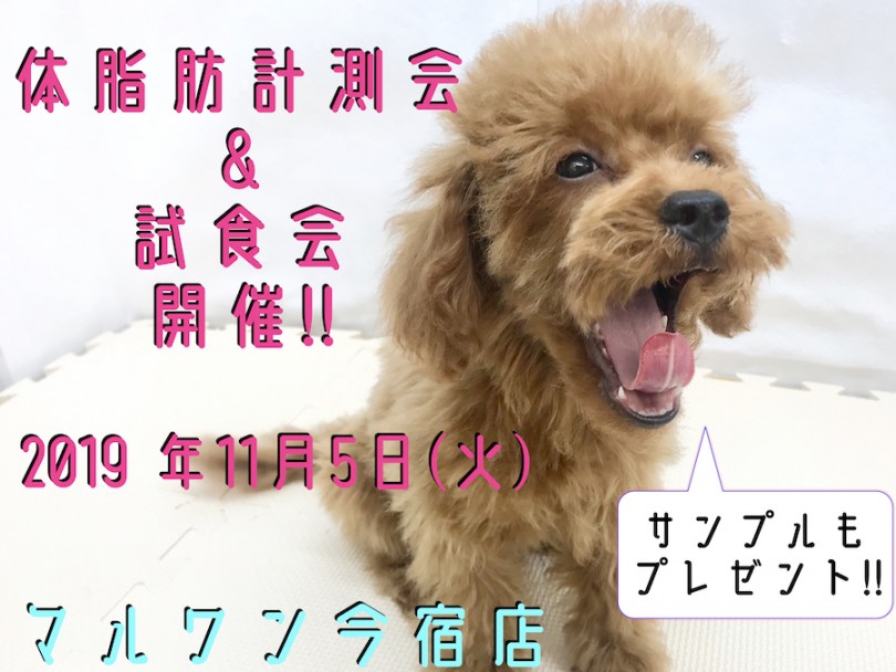 【 今宿店イベント 】11/5ワンコの体脂肪計測会＆フードサンプル試食会！