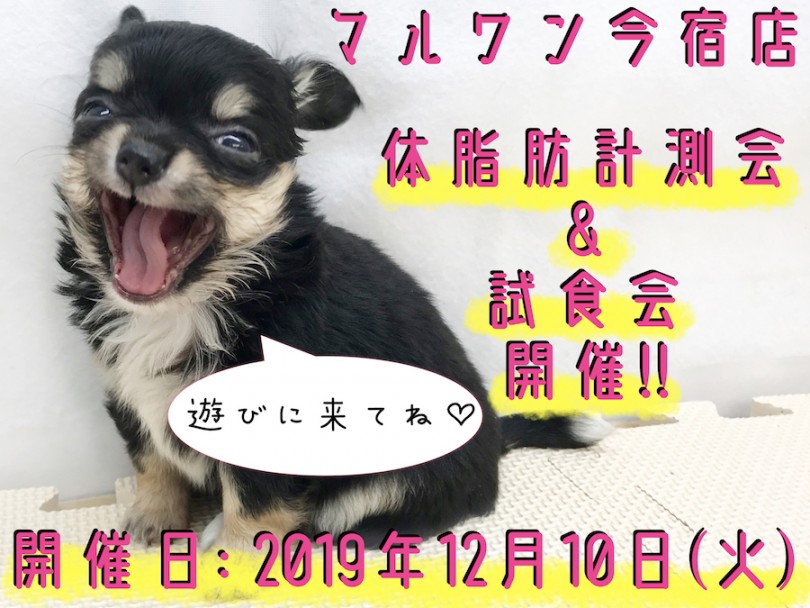 【 今宿店 イベント 】12/10ワンちゃんの体脂肪計測会＆試食会のお知らせ！