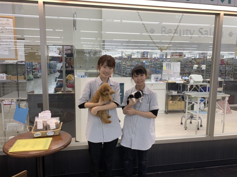 ユアペティアのトリマーさん | 志村坂下店5周年 - 志村坂下店