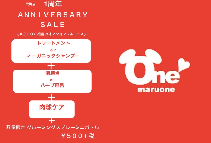 オプションフルコース | 1周年記念「同釜祭」 - 横浜 元町店