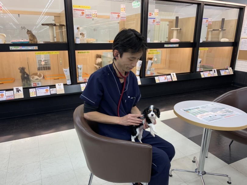 志村坂下動物総合医療センター | 志村坂下店5周年 - 志村坂下店