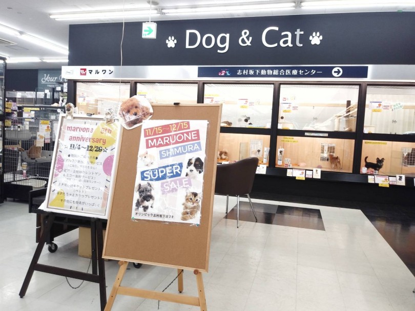 5周年キャンペーンは嬉しい特典がいっぱい | 志村坂下店5周年 - 志村坂下店