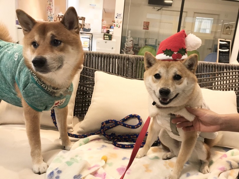 コミニティを大切にしたお店を目指しています!! | 野外学習イベント - 大倉山店