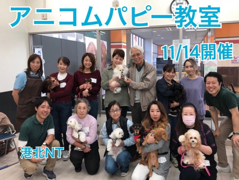 【 パピー教室 】第13回アニコムしつけ教室開催！