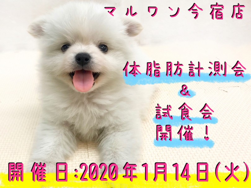 【 今宿店 イベント情報 】1/14ワンちゃんの体脂肪計測会＆試食会のお知らせ！