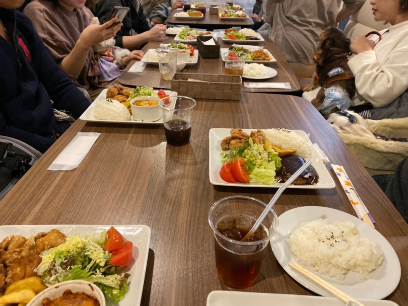 会場はドッグカフェ シュシュ・クレール | お客様主催の港北NT店新年会  - 港北ニュータウン店