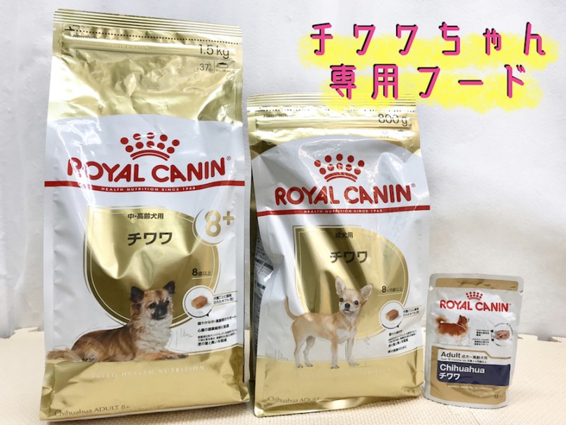 ロイヤルカナン社から出ているチワワちゃんの為だけに作られたご飯 | チワワ （120227） - 今宿店
