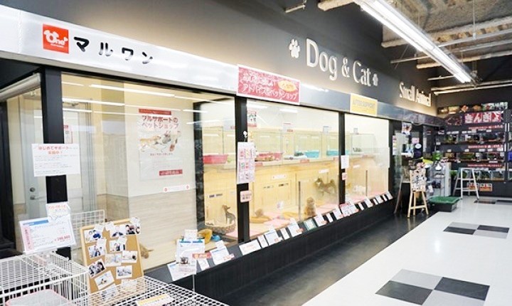 梅島店