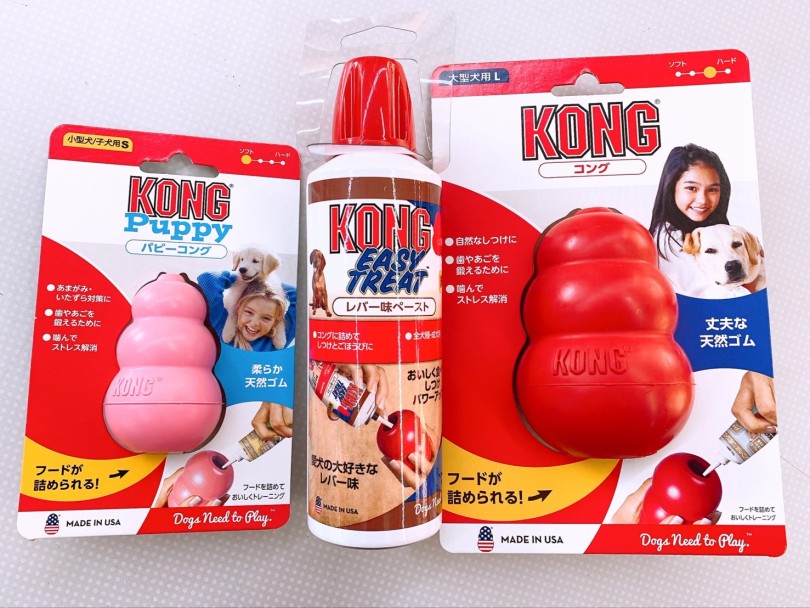 遊びながらお勉強！知育玩具 | 犬のおもちゃ - 大倉山店
