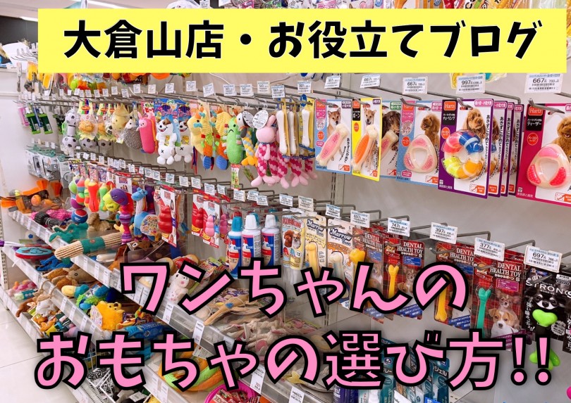 【 犬のおもちゃ 】パピー期の甘噛み抑止やスキンシップ等、シーン別のおもちゃ選び