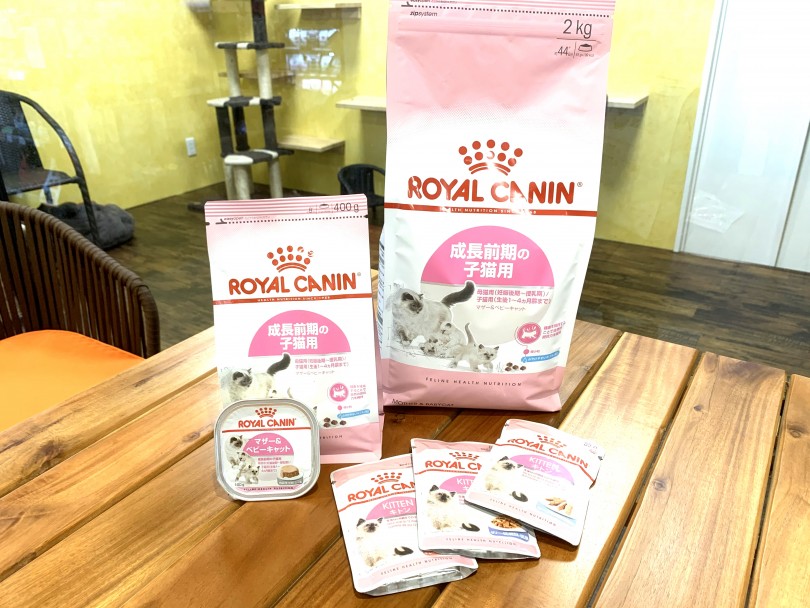 キャットフードはロイヤルカナンのマザー＆ベビーキャット | シンガプーラ （140335） - 横浜 元町店
