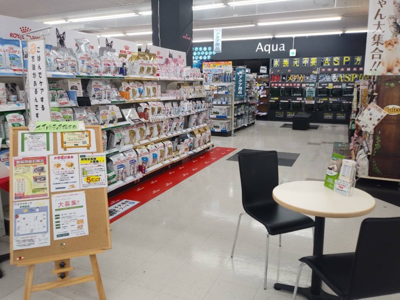 お散歩を楽しんだらオリンピックで少し休憩しましょう！ | 多摩川河川敷 オススメお散歩コース - 本羽田店