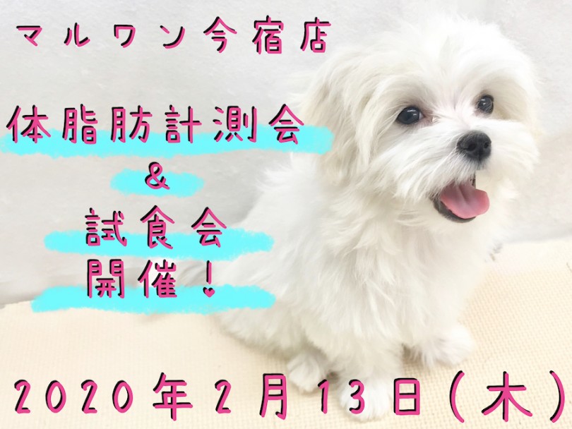 【 今宿店 イベント 】2/13ワンちゃんの体脂肪計測会＆試食会のお知らせ！