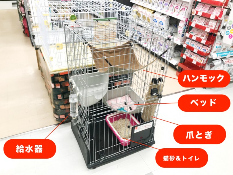 生活に必要な「用品」と「環境」 | ノルウェージャンフォレストキャット （119197） - 梅島店