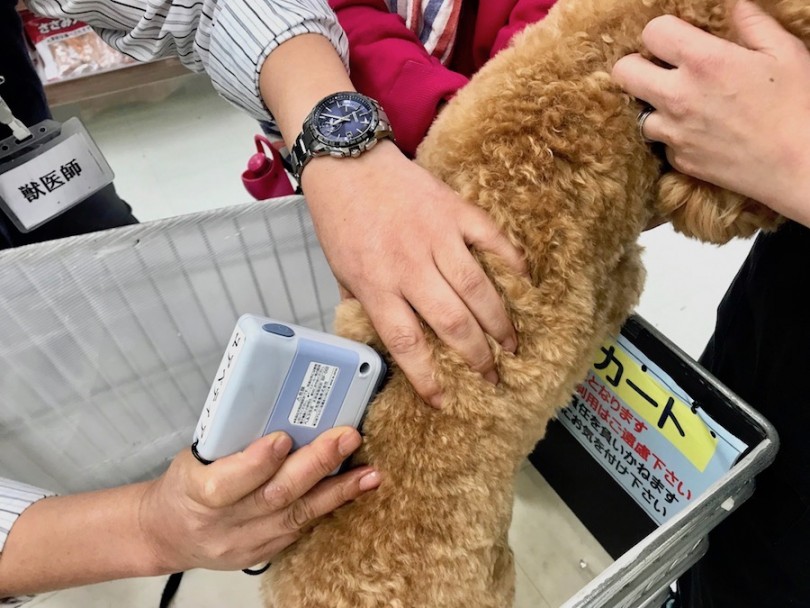 計測風景を大公開♪ | 体脂肪計測会 - 今宿店