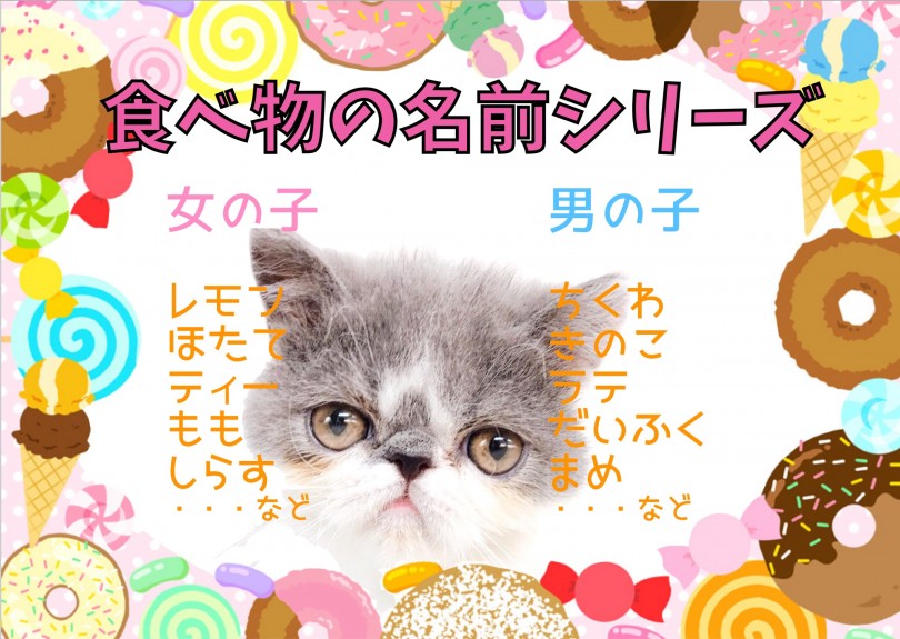 食べ物の名前シリーズ | 愛犬・愛猫名前ランキング - 大倉山店