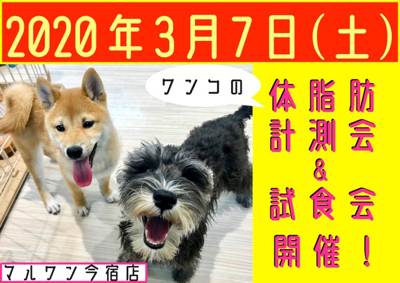 【 今宿店イベント情報 】3/7（土）・脱メタボ！体脂肪計測会！