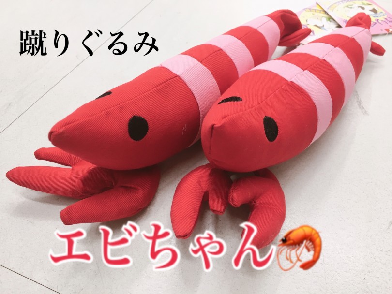 蹴りぐるみとは！なんぞや？ | 猫のおもちゃ - お役立て情報