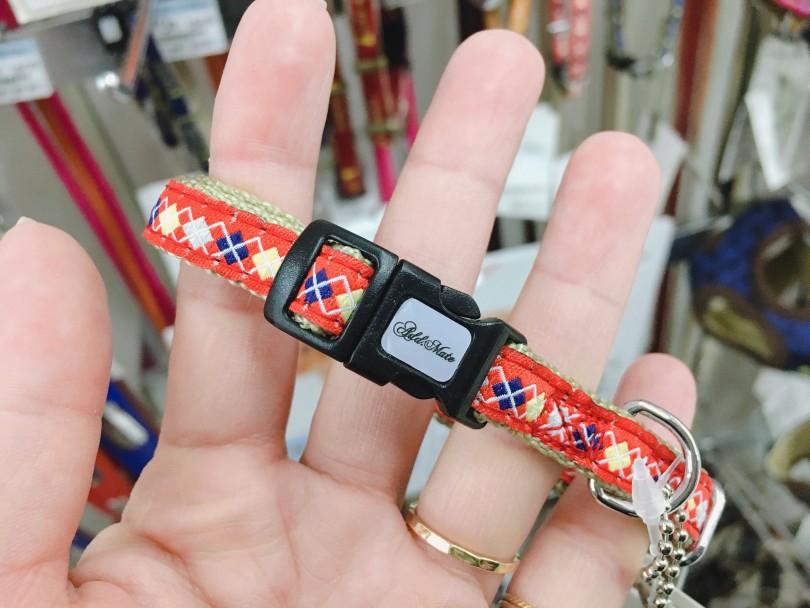 バックルタイプ | 犬の首輪の種類と選ぶポイント - 大倉山店