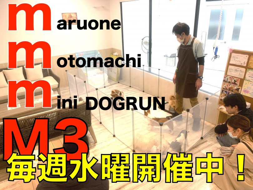 【 元町店イベント 】卒業生参加型！M3ドッグランで一緒に遊ぼう！