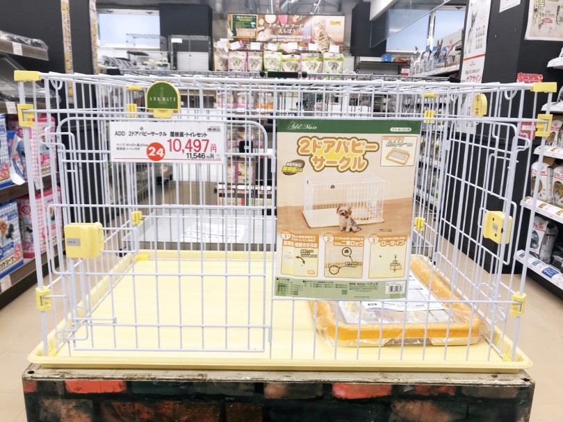 サークルサイズ90cm✕60cmのコンパクトライフが送れます | ポメラニアン （119204） - 梅島店