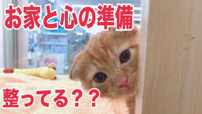 大好評の2週間お預かりプラン | 最新オリジナルサポート内容 - 大倉山店