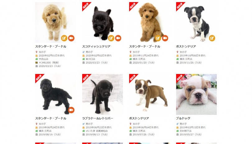 もしも好みの子が見つからなくても大丈夫！リクエストも出来ます！ | マルワンメールサポート - お役立て情報