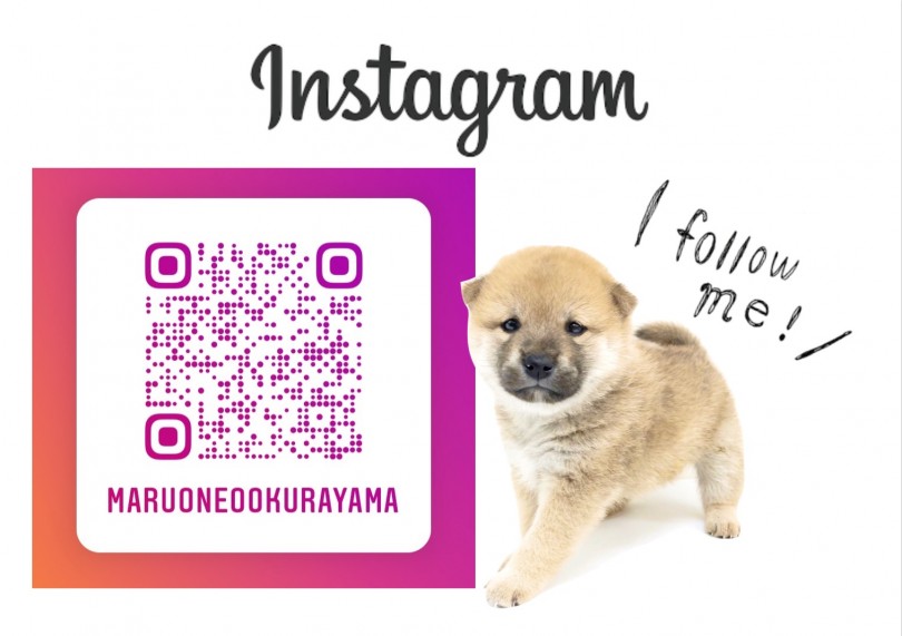 スタッフだからこそ撮れるオフショット満載のInstagram | 最新オリジナルサポート内容 - 大倉山店