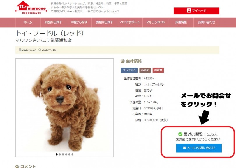 メール問合せの方法 | マルワンメールサポート - お役立て情報