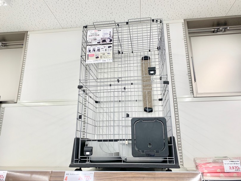 マンチカンくんお迎えセット | マンチカン （014299） - 東日暮里店