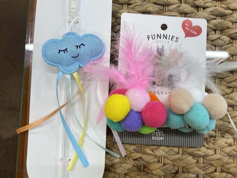 ねこじゃらしや羽と鈴がついたおもちゃなども当店では置いてあります！ | スコティッシュフォールド （140422） - 横浜 元町店